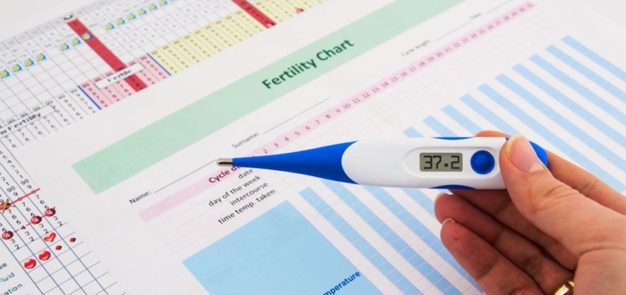 Ановуляторный цикл - возможна ли беременность